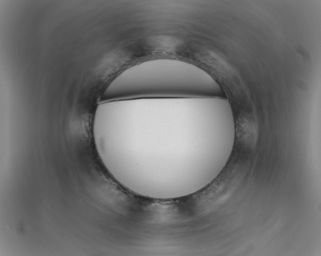 X0000112050280200908251005