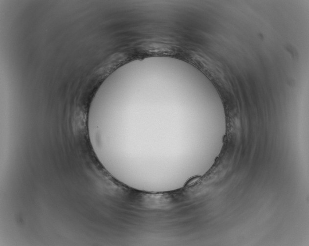 X0000112050281200908251005