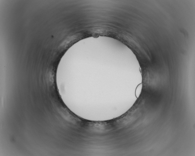 X0000112050282200908251005