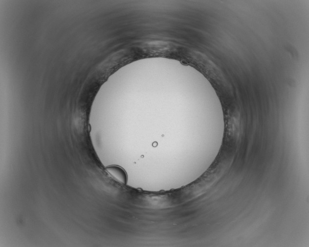 X0000112050283200908251005