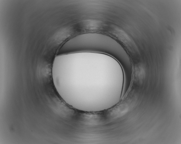 X0000112050284200908251005