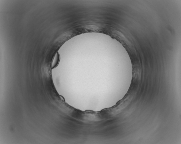 X0000112050285200908251005