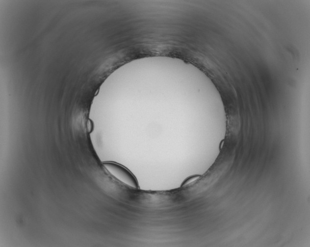 X0000112050286200908251005