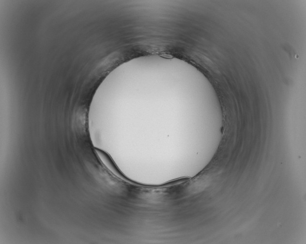 X0000112050288200908251005