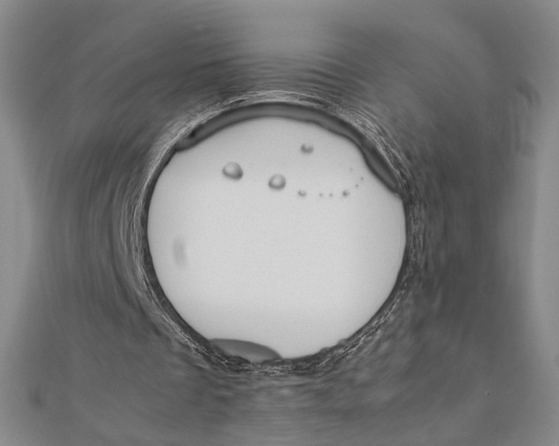 X0000112050289200908251005