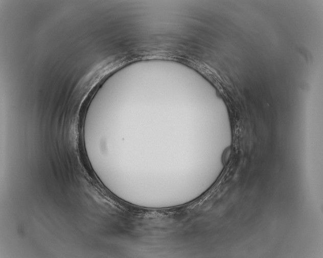 X0000112050290200908251004