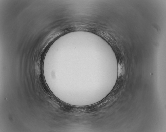 X0000112050291200908251004