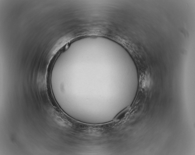 X0000112050292200908251004