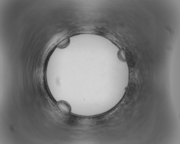 X0000112050293200908251004