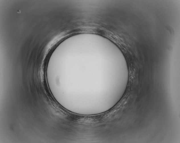 X0000112050294200908251004