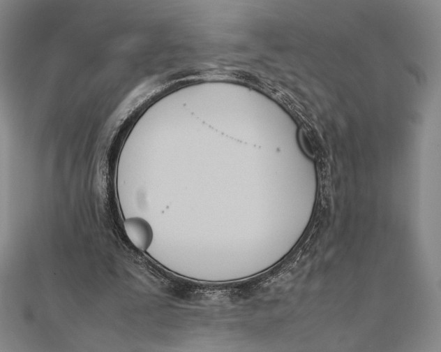 X0000112050295200908251004