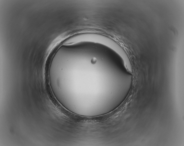 X0000112050296200908251004