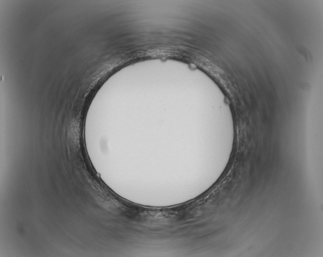 X0000112050297200908251004