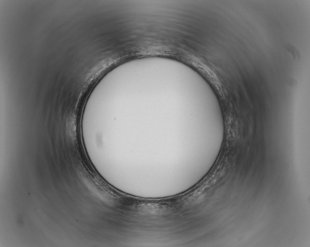 X0000112050298200908251004