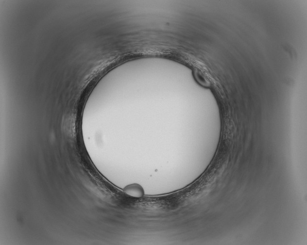 X0000112050299200908251004