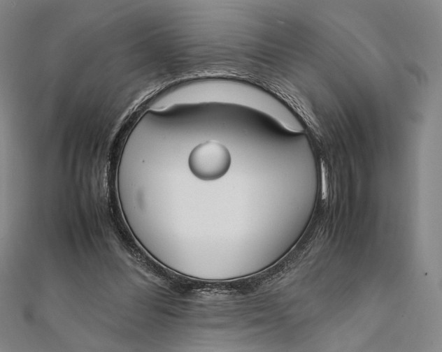 X0000112050300200908251004