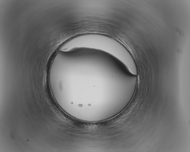 X0000112050301200908251004