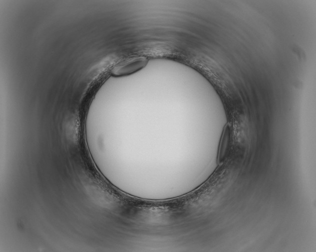 X0000112050304200908251004