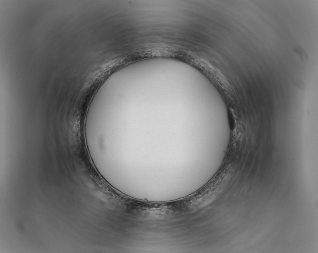 X0000112050306200908251004