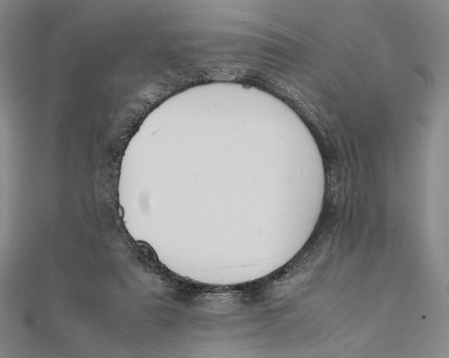 X0000112050307200908251004