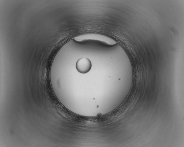 X0000112050308200908251004