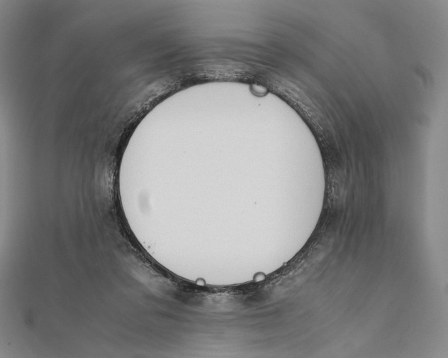 X0000112050309200908251004