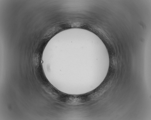 X0000112050311200908251004