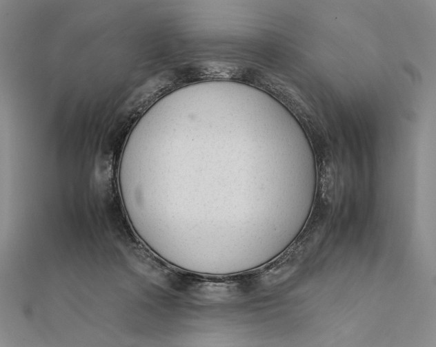 X0000112050314200908251004