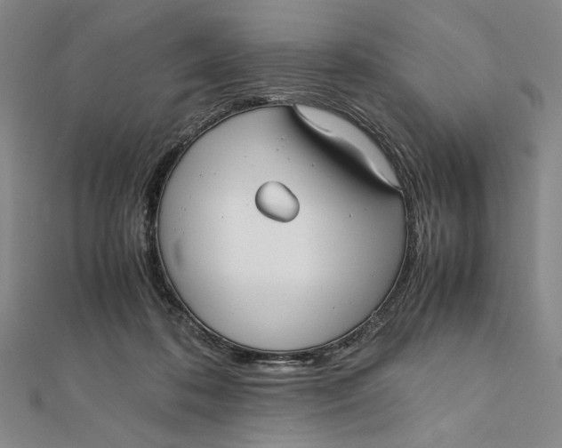 X0000112050316200908251004