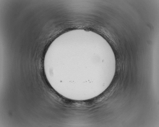 X0000112050317200908251004