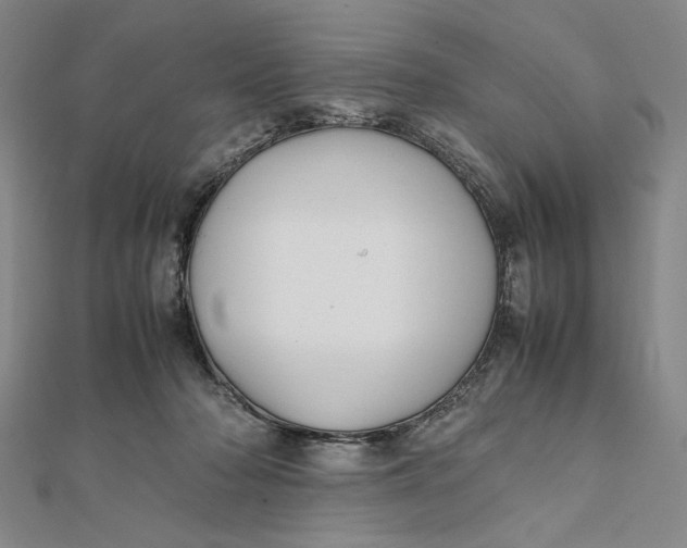 X0000112050318200908251004