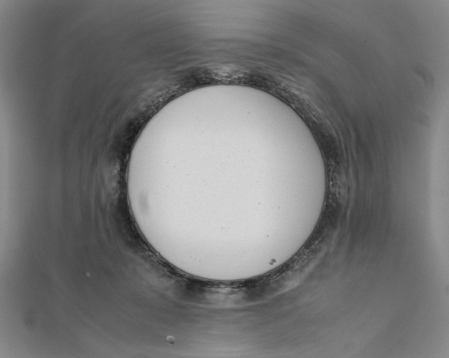 X0000112050319200908251004