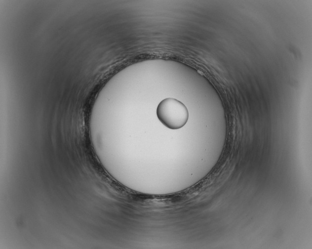 X0000112050320200908251004