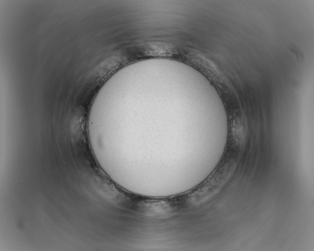 X0000112050322200908251004