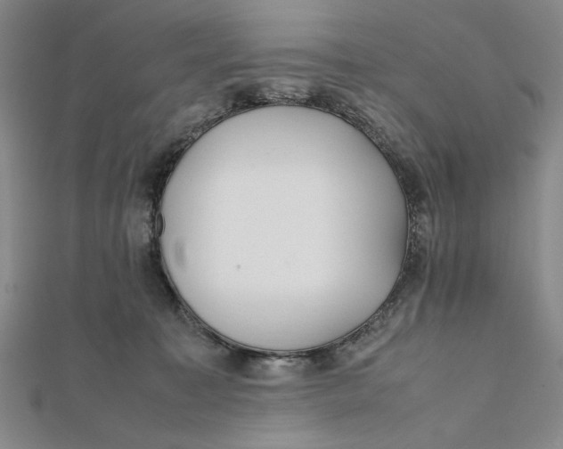 X0000112050323200908251004