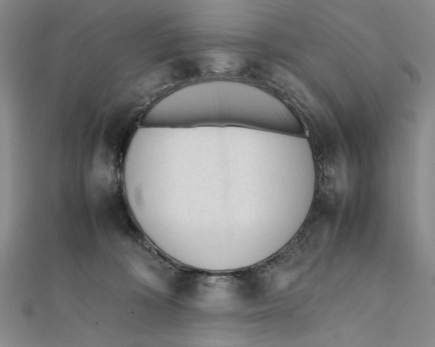 X0000112050324200908251004