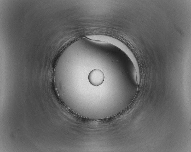 X0000112050325200908251004