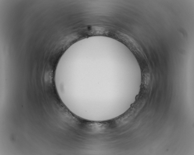 X0000112050326200908251004