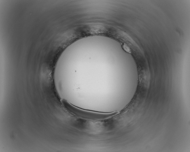 X0000112050327200908251004