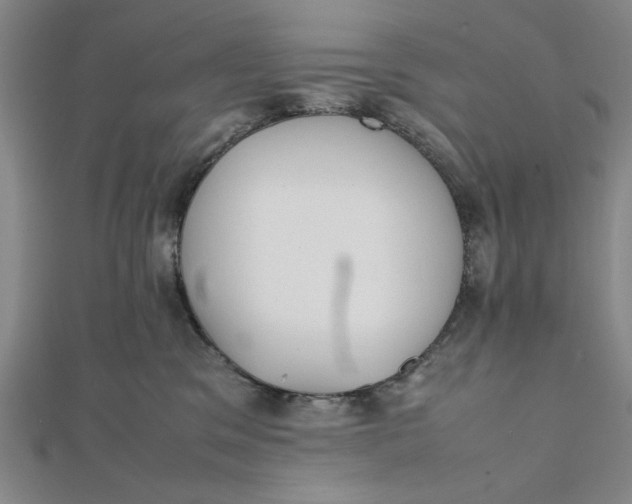 X0000112050329200908251004