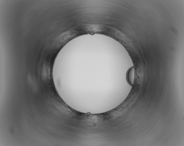 X0000112050330200908251004