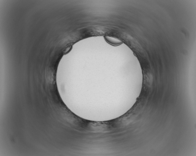 X0000112050331200908251004