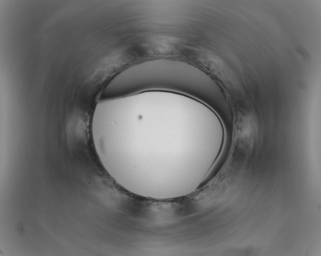 X0000112050332200908251004