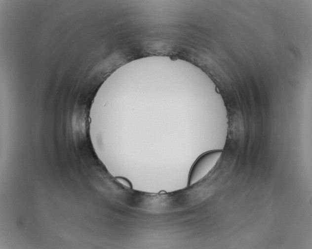 X0000112050334200908251004