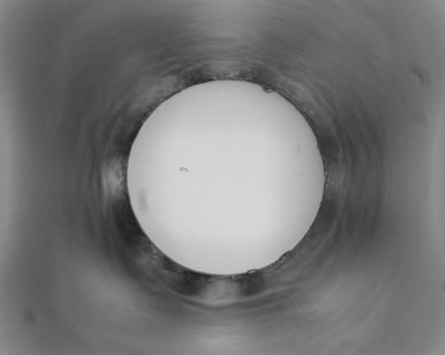 X0000112050335200908251004