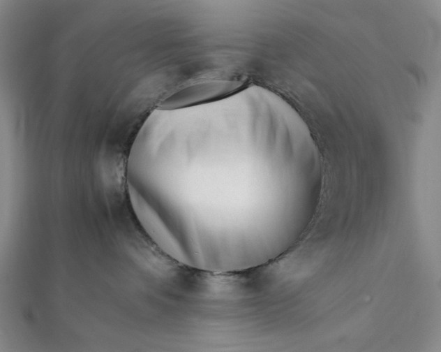 X0000112050336200908251004