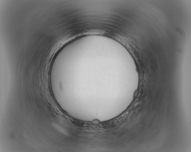 X0000112050337200908251003