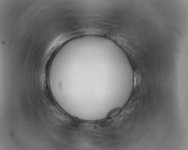 X0000112050339200908251003