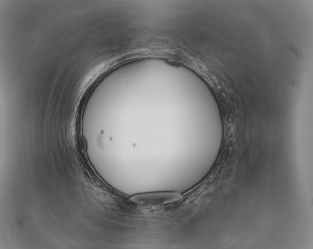 X0000112050340200908251003