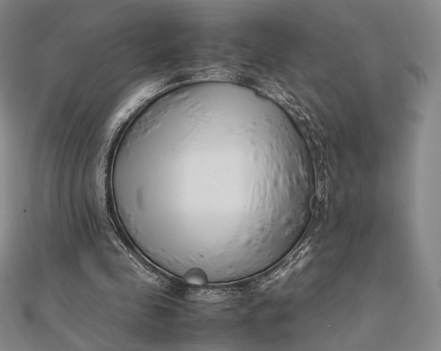 X0000112050341200908251003